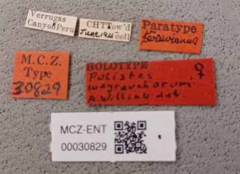 Media type: image;   Entomology 30829 Aspect: labels